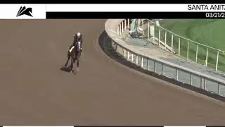 Bob Baffert and his The big 3 of Bob Baffert  Authentic Nadal/Charlatan. For the Kentucky Derby