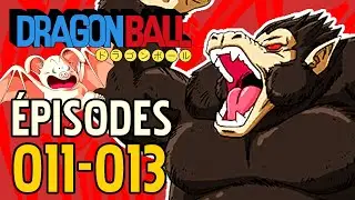LA GRANDE TRANSFORMATION !! DRAGON BALL &Eacute;PISODES 011-013 - DBREVIEW