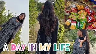 College Character Day Vlog | Shanzay vlog