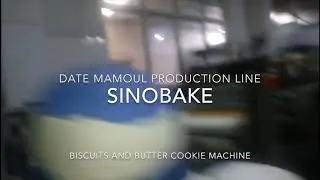 Co extruder / date maamoul machine/ filled cookie machine