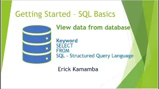 Viewing Data From Microsoft SQL Server Database