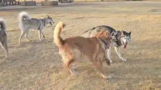 Mimi's battle with Luke 