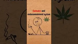 Why Cannabis Can Affect Motivation