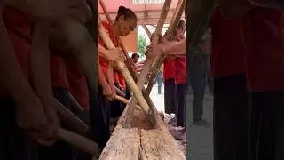 Funeral ritual in Toraja #sulawesi #toraja #rambusolo #funeral