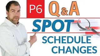 Проверить изменения, внесенные в график моего проекта P6?