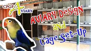 Aviary Design and Cage Set-Up