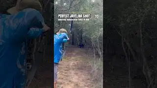 Javelina HEART SHOT with a RECURVE BOW! 🏹🐗🎯 #recurve #bowhunting #traditionalarchery #3Darchery