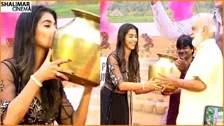 Pooja Hegde Making Hilarious Fun With Raghavendra Rao At Valmiki Movie Song Launch || Shalimarcinema