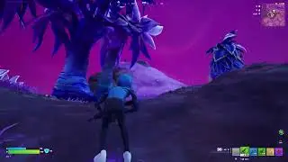 Epic Win Fortnite (DES)  #fortnite #fortniteclips 