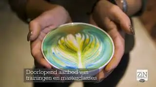 Compilatie trainingen ZiN Inspiratielab