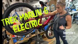 TREK Marlin+ 6 Electric