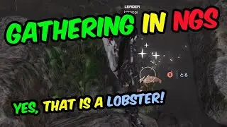 [PSO2:NGS] Gathering Explained
