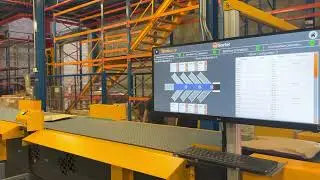 BeeSort Parcel and Bag Sorter Warehouse Automation System