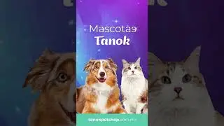 Tanok Mascotas felices