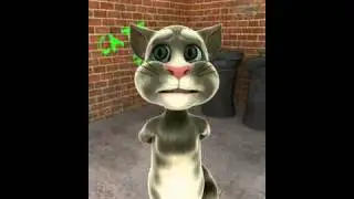 Talking Tom - teste pplware