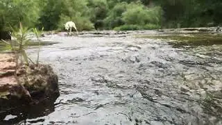 Joachim Creek, DeSoto, Missouri