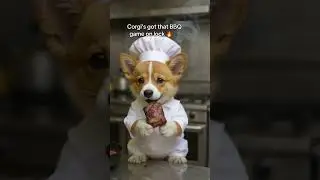 Corgi&rsquo;s got that BBQ game on lock. #corgipuppy #corgi #corgichef #ribs #corgipuppy #cookinghumor