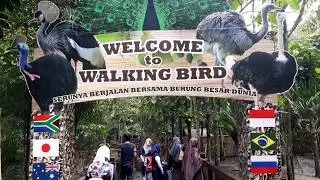ECO GREEN PARK kota batu | MALANG | taman hiburan dan wisata di jawa timur