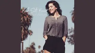 Bird Set Free