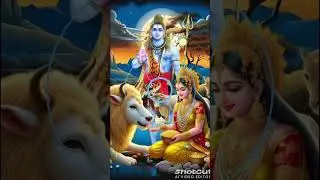 bam bhole bam bhole#short #shortsvideo #shortsviral