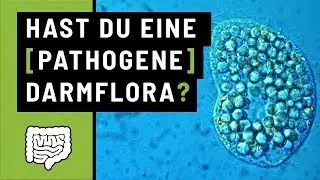 B12 Mangel, Rohkost Ernährung und Darmflora aufbauen