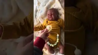Liam’s afternoon routine/world of reborns