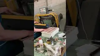 Тест тигельного пресса Bronko ML 750 R. В СПб.