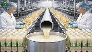 Inside a Modern Soy Milk Factory: From Soybeans to Bottled Soy Milk (Full Process)