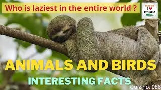 Interesting facts about Animals and Birds| Educational Video for Kids| I Love My India|