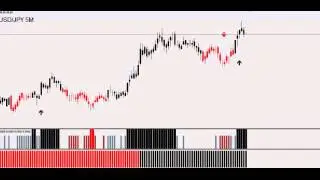 Forex Treasure Hunter Reviews - Watch this First