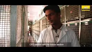 Bird Hospital Delhi helps injured birds located Inside the Jain Temple In Chandni Chowk