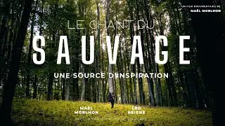 Le Chant Du Sauvage : dans les pas du loup (Abruzzes 2023)