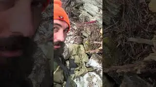 Second attempt to free solo from south East wall, the devil&lsquo;s thumb Alaska . He is wicked .