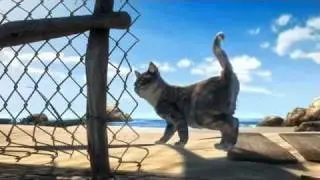 ИСТОРИЯ ЧЕРЕПАХИ - Кот - Отрывок из фильма