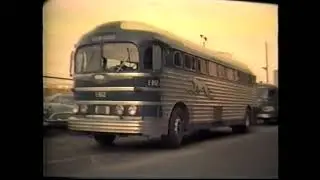 История борзой. Часть 3