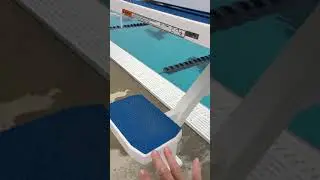 2C_ Pool Ladder, Starting Blocks, and Lane Lines