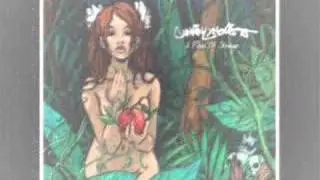 Cunnin' Piece of Strange -  the light (feat. club dub)
