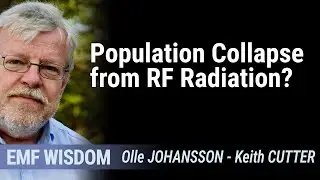 Population Collapse from RF Radiation