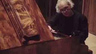 The Piano Tuner: Sjoerd Heijda
