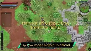 #22 MOUNTAIN KING - A Quick Ravenquest Guide