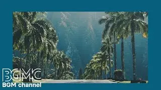 Relaxing Tropical Beach Cafe Music - Hawaiian Music: Island Paradise