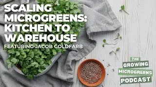 Microgreens Business Success Story: From Side Hustle to Full-Time Farming