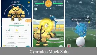 Gyarados mock solo in rain with electivire