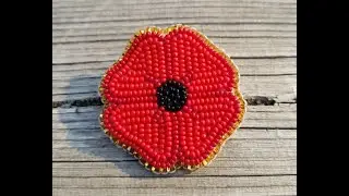 poppy kit tutorial