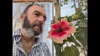 PODCAST 35  DENIS BOJČIĆ