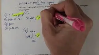 Lab - Review Sheets