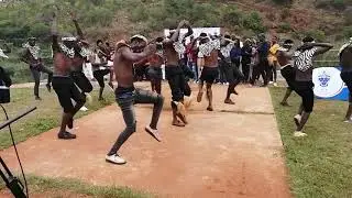 Izimbungulu of Pongola KZN South Africa