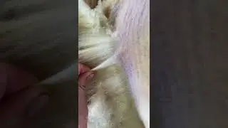 How We Judge Wool