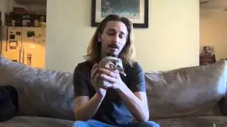 Do Hedgehogs Make Good Pets?!?