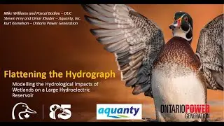 Using Wetlands to &ldquo;Flatten the Hydrograph&rdquo;